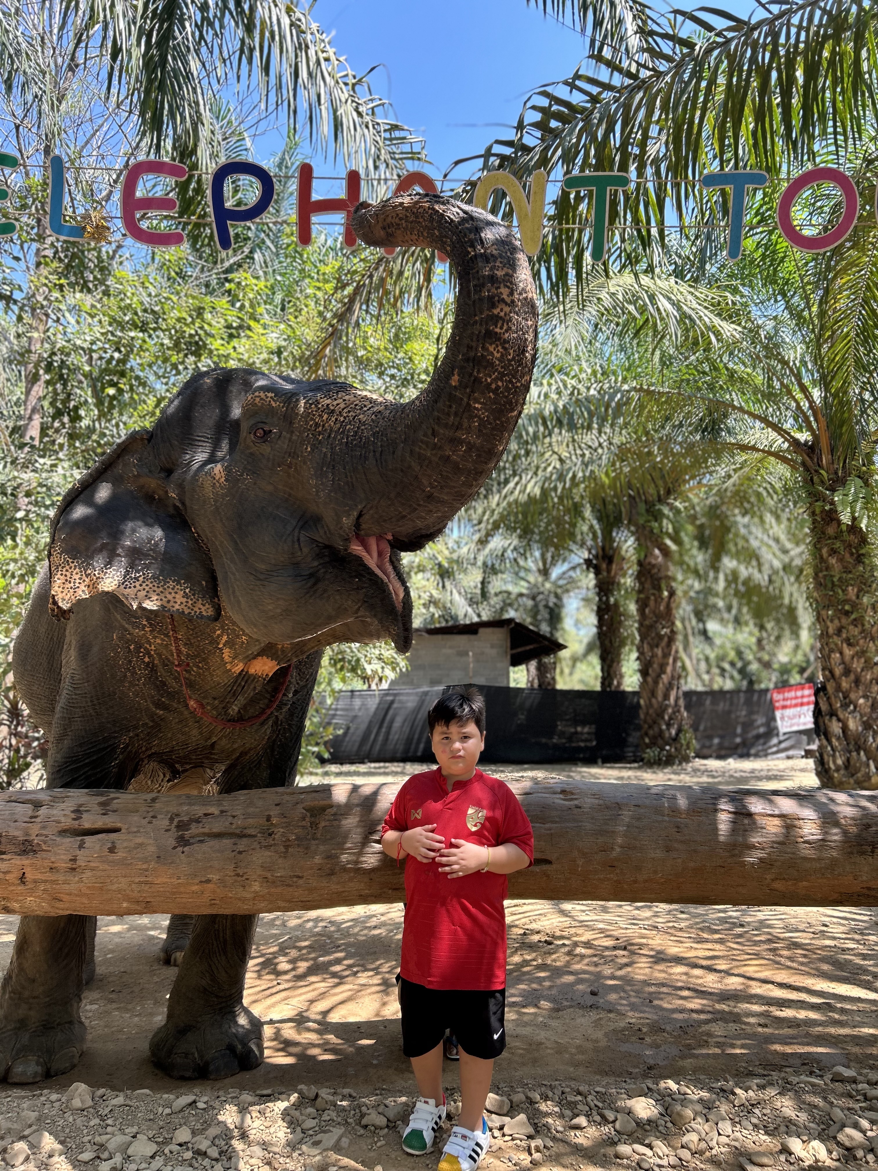 Elephants