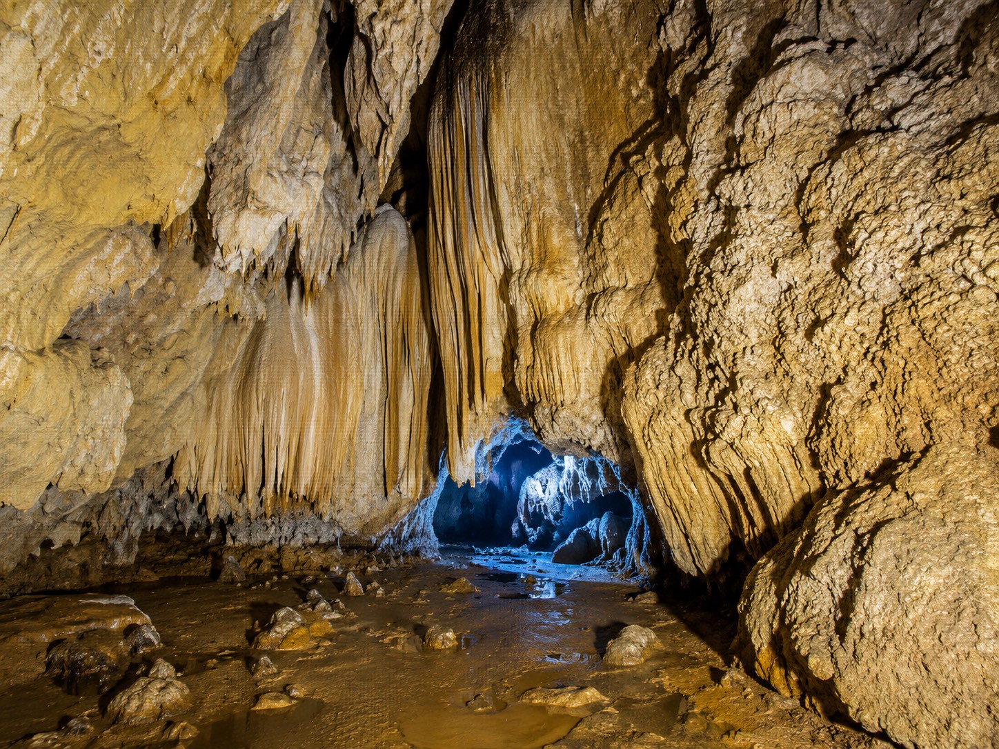 Coral Cave