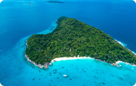 The Best Boats for Snorkeling – Speedboat, Catamaran or Longtail?