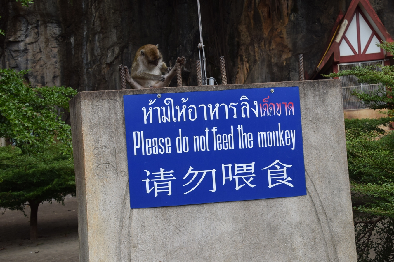 A Little Thai Tip & Rules of Conduct