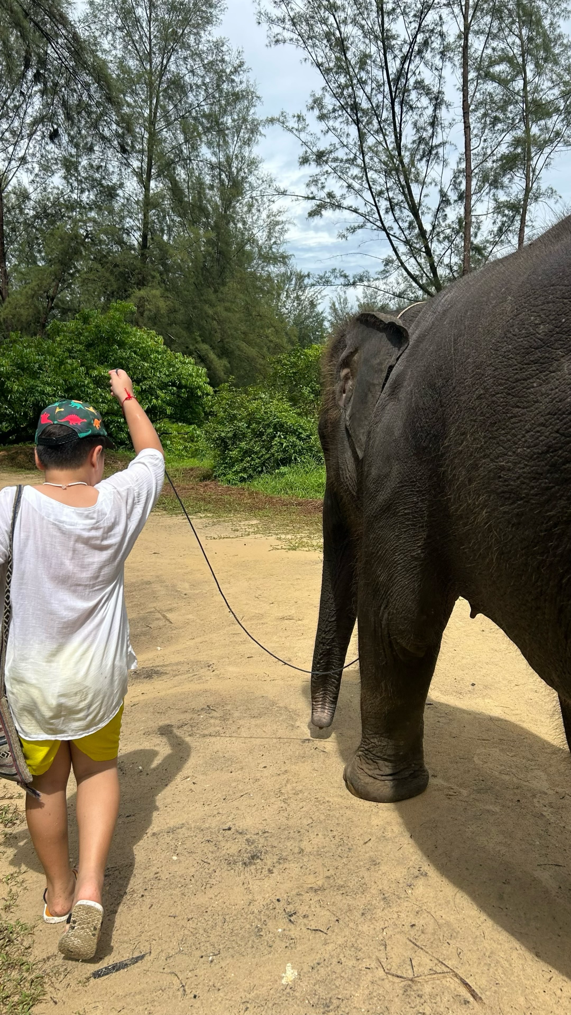 Einmal kleiner Mahout sein