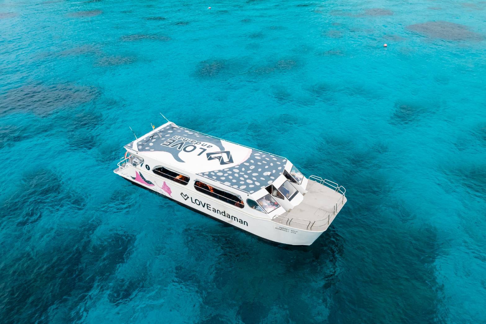 Our Catamaran