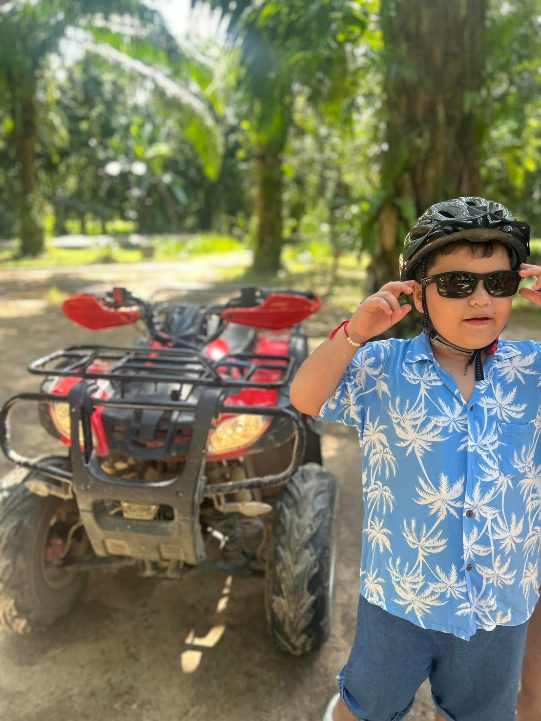 Half-Day Tour: ATV Experience (Family & Action)