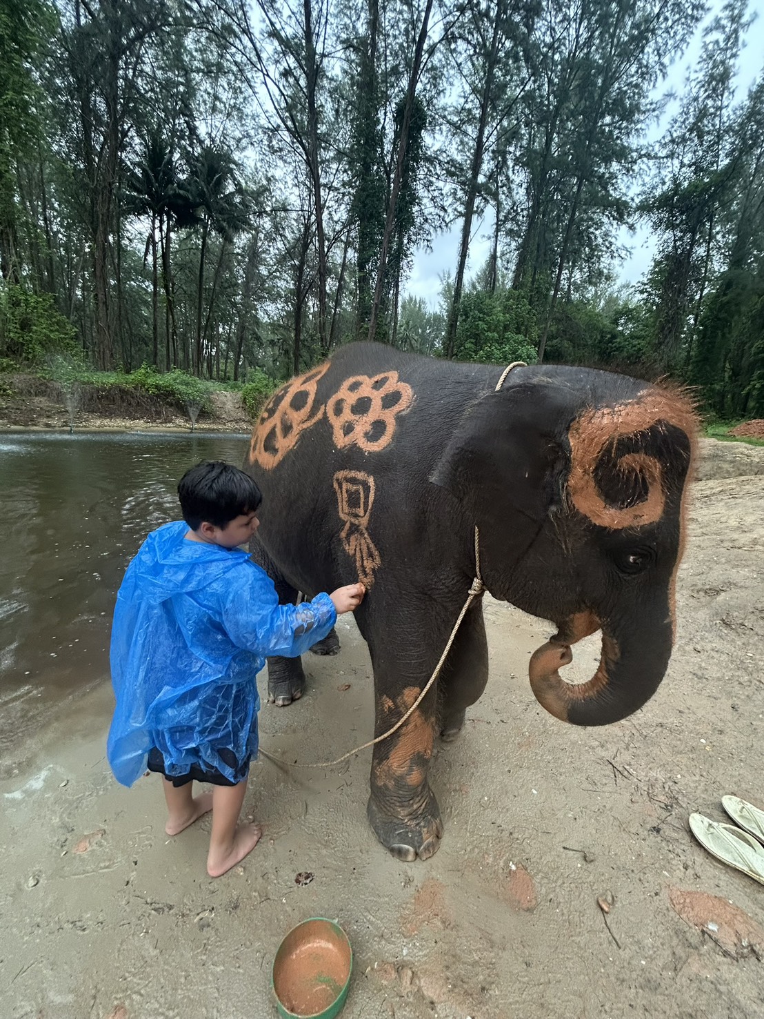 Kleiner Elefant