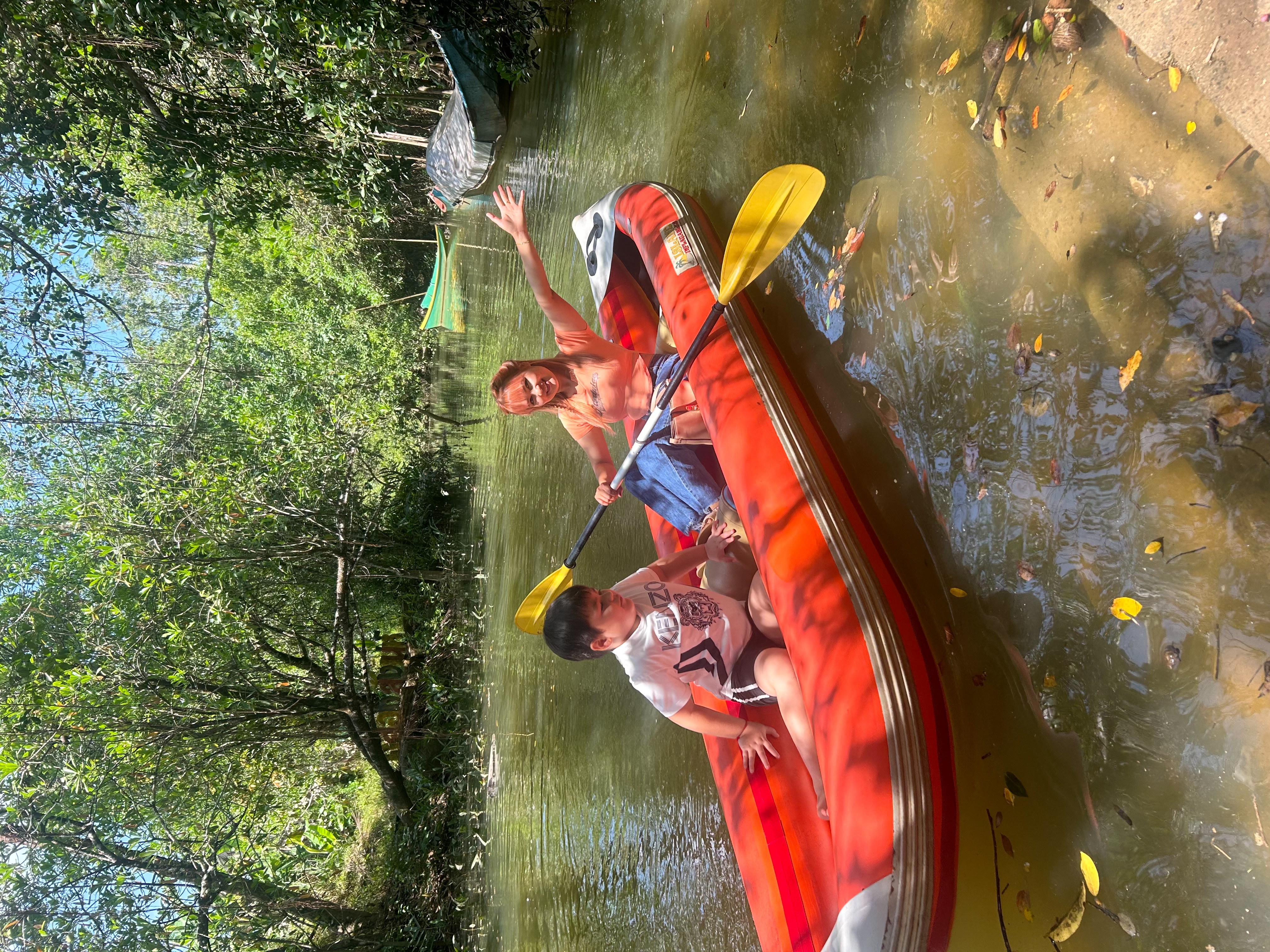 Canoe Banyan Forest