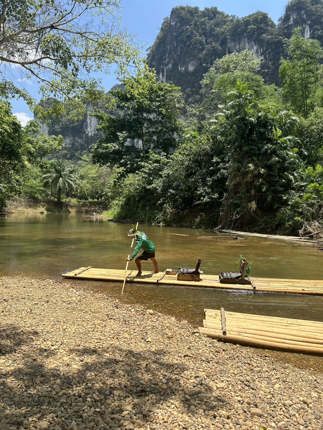 Jungle 3