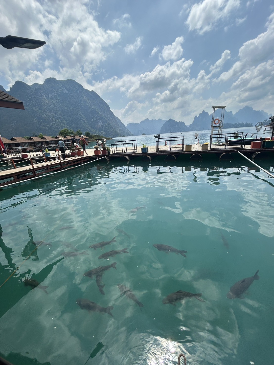 Mittagspause im schwimmenden Resort
