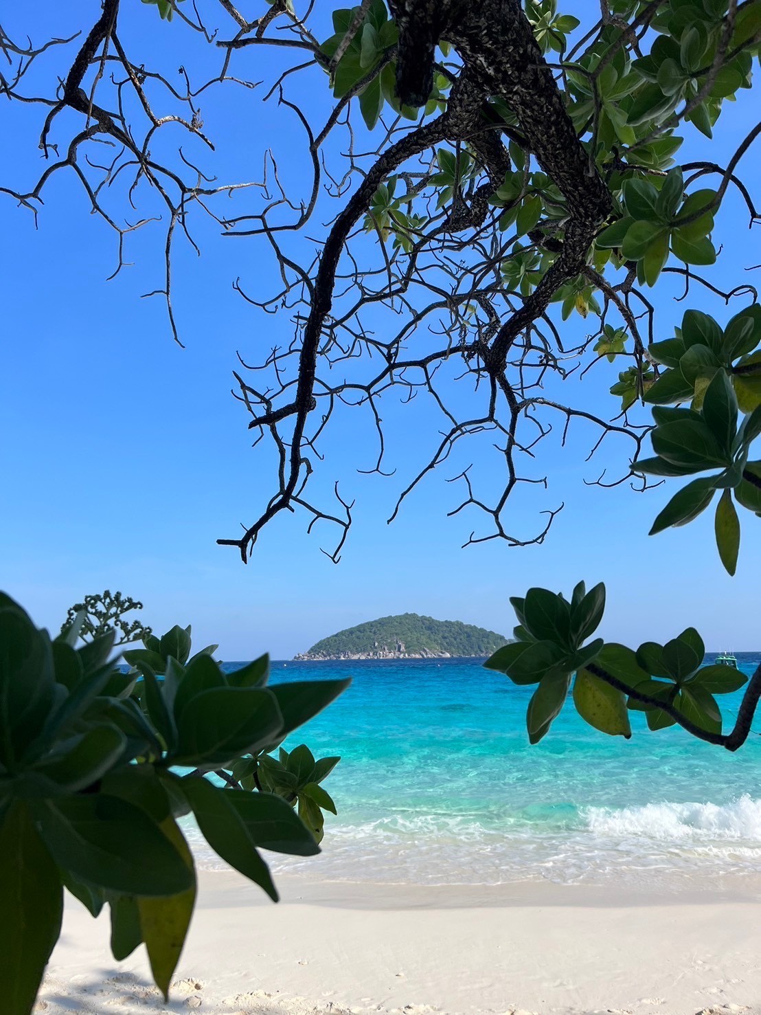 A Quiet Moment on the Similan Islands