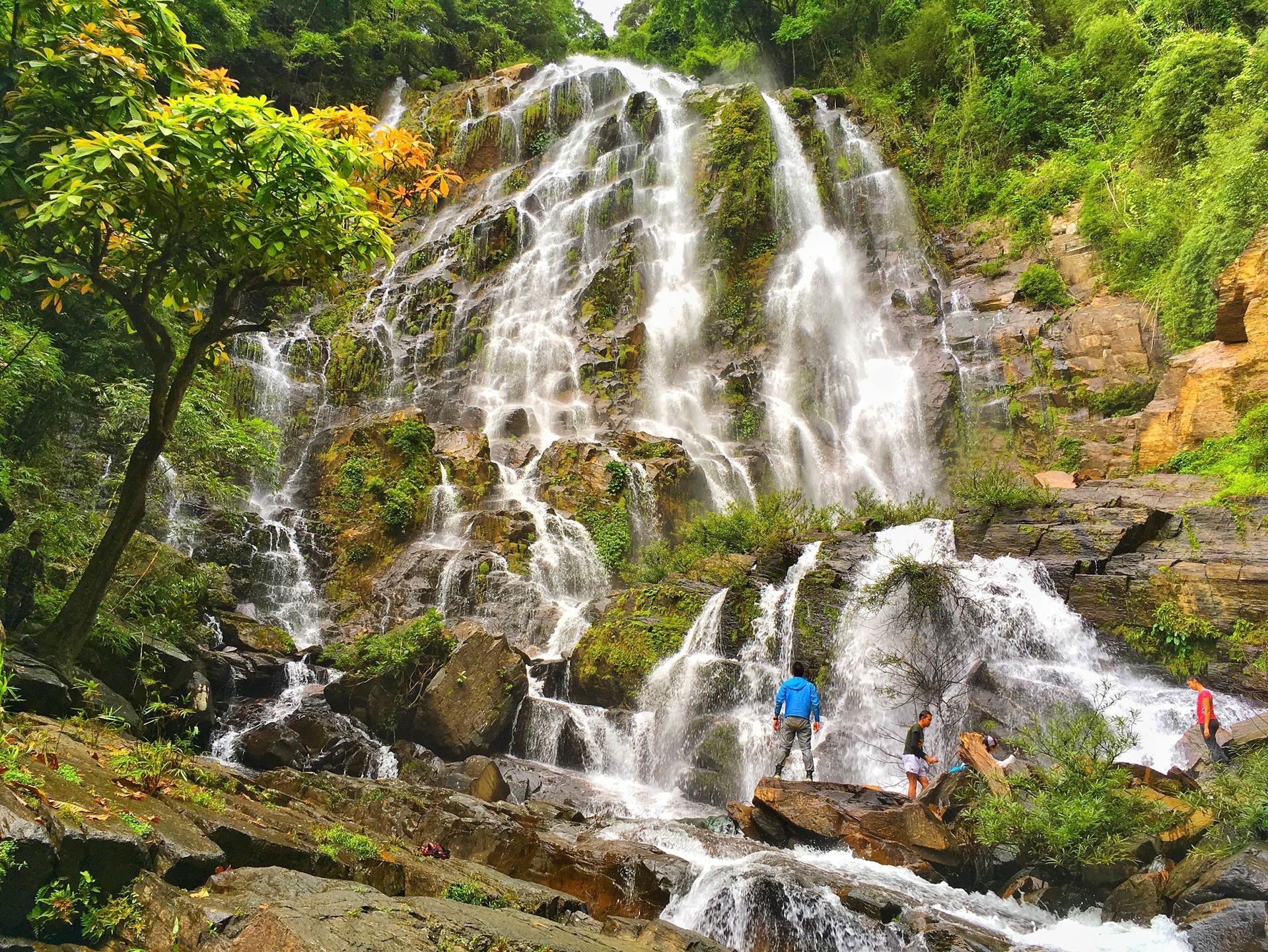 Khao Lak Nature & Conservation: Preserving the Green Heritage
